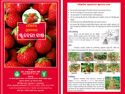 Leaflets